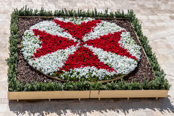 Valletta, Malta, May 1, 2023, Flowers representing the Maltese Cross Maltese Cross in the Upper Barakka Public Gardens - obrazy, fototapety, plakaty