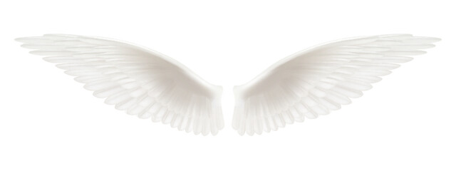 White realistic wings. Pair of white isolated angel style wings with 3D feathers, bird wings design - vector
