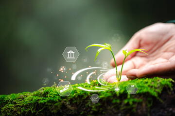 ESG icon concept circulating in the hands, Environmental, Society and Governance. It is an idea for...