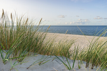 Dünengras und Strand am Meer