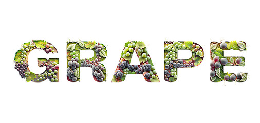 Word 'Grape' lettering text illustration with grapes, on white background.