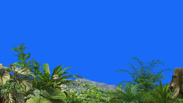 3D render animation foreground plants and stone on background blue