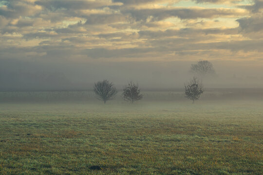field at sunrise in the fog