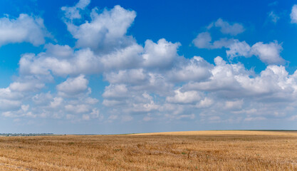 Natural landscape, White cumulus clouds over a wheat field, Ukraine