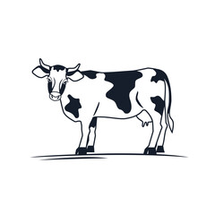 cow on a white