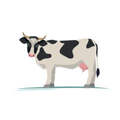 cow on white