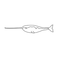 Narwhal whale vector icon. Outline vector icon isolated on white background narwhal whale.