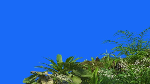 3D render animation foreground plants  on background blue