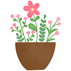 pink flower in a pot
