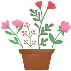 pink flower in a pot