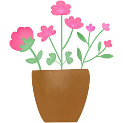 pink flower in a pot
