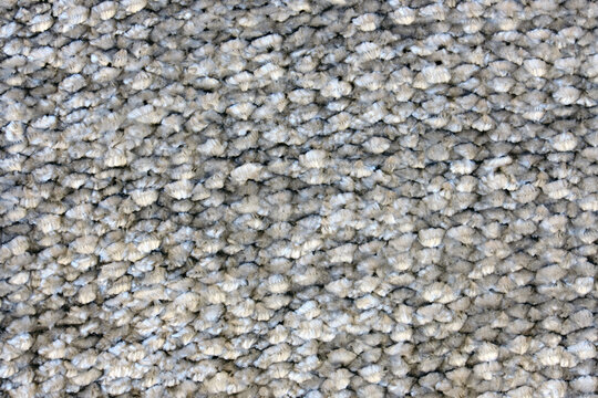 Close-up of the surface of a gray wool carpet. High resolution photo.