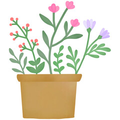 flower in a pot