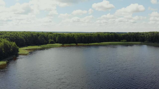 Aerial view of the lake and forest in summer. Nature background video.