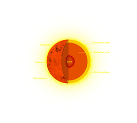 Anatomy of the Sun, The sun is basically a giant ball of gas and plasma, The inner layers are the Core, Radiative Zone and Convection Zone, layers of the sun