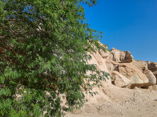 Mountains of jabal qara and trees Saudi Arabia