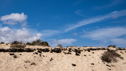 Landscape at Fuerteventura island in Spain in summertime