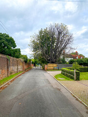 Walking along a narrow road in Reading, UK alongside an old, weathered brick wall