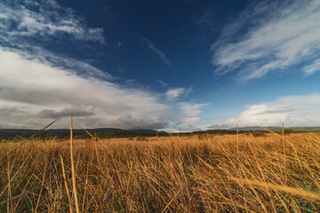 Fototapeta premium landscape with clouds on chiloe in chile