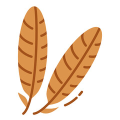 Turkey feather icon