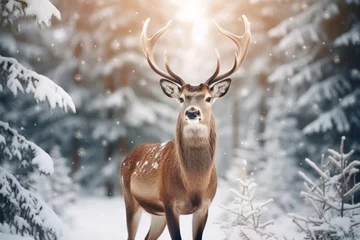 Poster Noble deer male in winter snow forest. Artistic winter christmas landscape. © Evgeniia