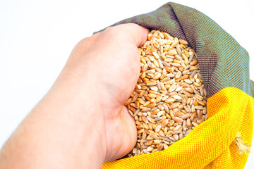 Wheat grains with in jute bag overlay of yellow and blue flag of Ukraine grain crisis, global...