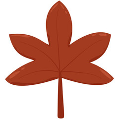 autumn maple leaves vector illustration, isolate on white background, flat design