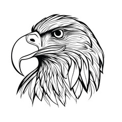 Eagle Head Vector Side View illustration