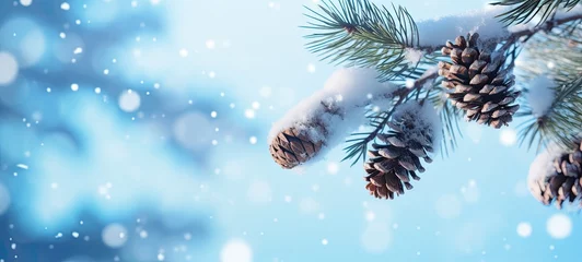 Foto auf Alu-Dibond Christmas card with snow and pine cone © Savinus