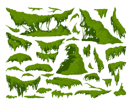 Green moss plants. Cartoon jungle moss hanging and creeping, lichen and moss flat vector illustration set. Tropical rainy forest flora collection