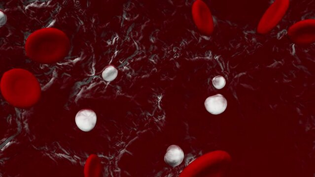 Inside Blood Vessel. Blood Stream inside Artery. Erythrocytes, Lymphocytes and Thrombocytes flow animation.