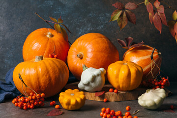 Autumn composition for Thanksgiving Day, still life background. Pumpkin harvest, vegetables, patissons, autumn leaves, red berries on dark wooden table. Fall decoration design.