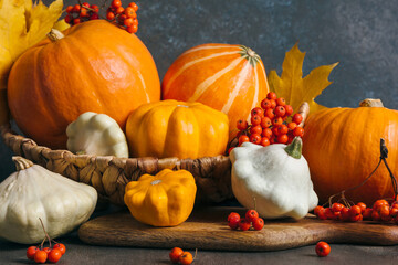 Autumn composition for Thanksgiving Day, still life background. Pumpkin harvest in basket, vegetables, patissons, autumn leaves, red berries on wooden table. Fall decoration design. Close up.
