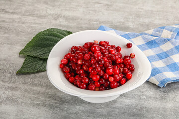 Ripe sweet wild organic cowberry