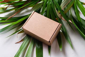 Brown cardboard box on green palm branch