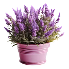 Foto op Plexiglas lavender flowers png ,Lavender flower home decoration isolated on transparent background ,generative ai © Leo