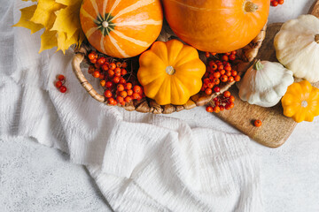 Autumn composition for Thanksgiving Day, still life background with empty copy space. Pumpkin harvest in basket, patissons, autumn leaves, red berries on white table. Fall design. Flat lay, top view.