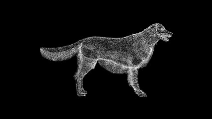 3D Retriever on black background. Pet concept. Cute little dog. Business advertising backdrop. For title, text, presentation. 3d animation.