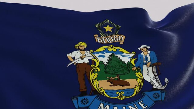 Flag of Maine State