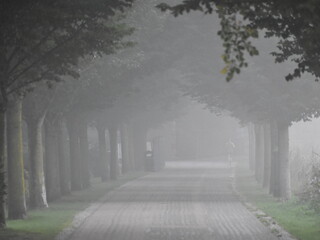 Foggy morning in Avenham and Miller Park in Preston, Lancashire 