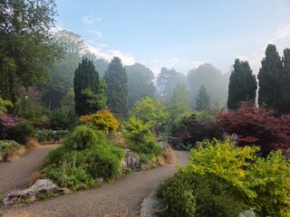 Foggy morning in the Japanese Garden, Avenham and Miller Park in Preston, UK 