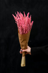 Beautiful dried flowers bouquet of pink color wrapped in paper on dark background in woman's hand