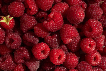 Fresh raspberries close up