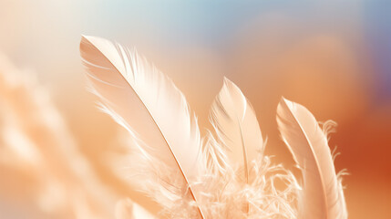 A close-up of a white feather on a dreamy and blurred background - obrazy, fototapety, plakaty