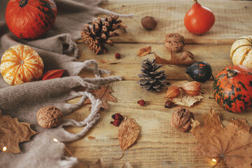 Autumn still life. Cute pumpkins, autumn leaves, cones, walnuts, cozy scarf and lights on rustic wooden table in farmhouse. Fall in rural home. Happy Thanksgiving. Fall banner