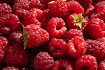 Fresh raspberries close up