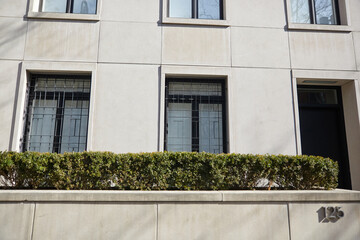 Windows on a classic brick building behind shrubs. Exterior photograph.