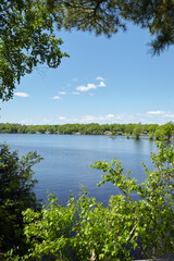 Still blue lake surrounded by branches with bright green leaves. 