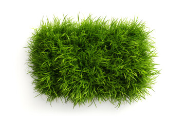 Bunches of green grass isolated on white background, top view.generative ai
