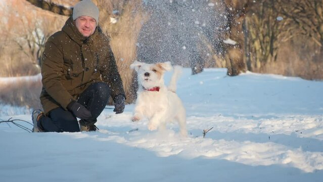 Man playing with jack russell terrier dog in snow in park. happy cheerful. Slow mo shot footage